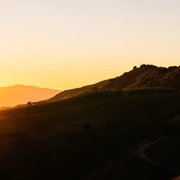 Golden hour over the Ojai Mountain Estate hillside