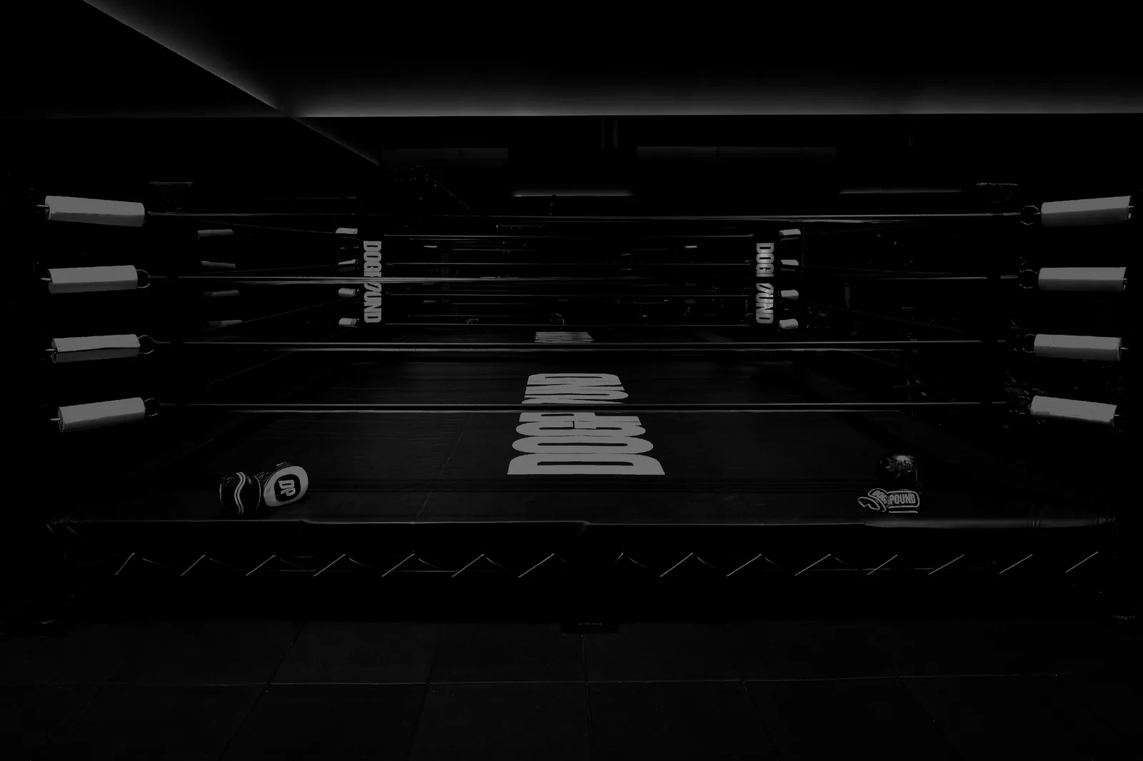 The boxing ring inside Dogpound Los Angeles
