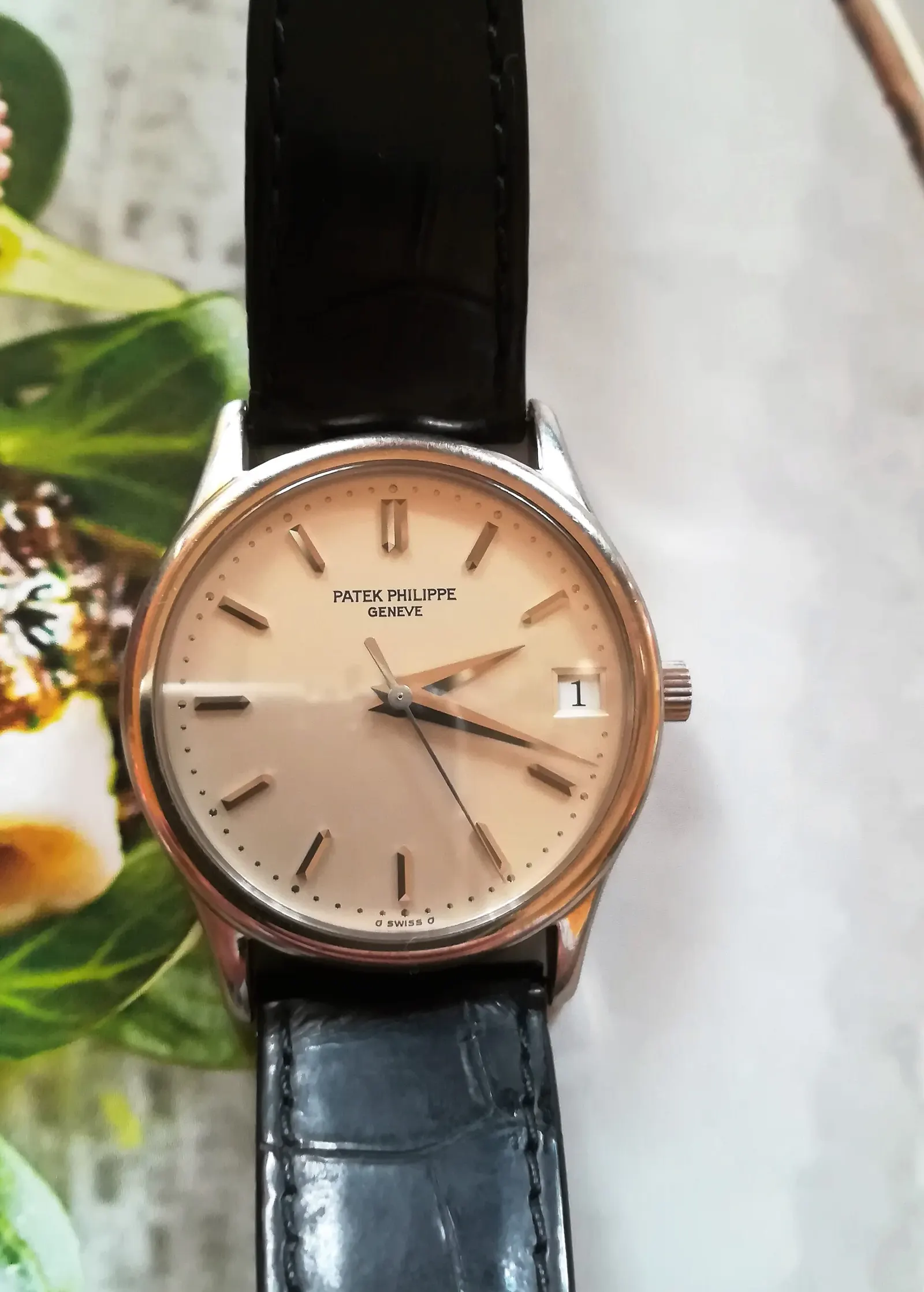 A Patek Philippe Calatrava